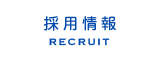 採用情報